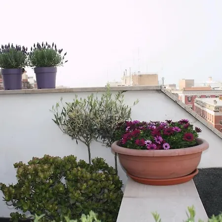 Apartament In Centro